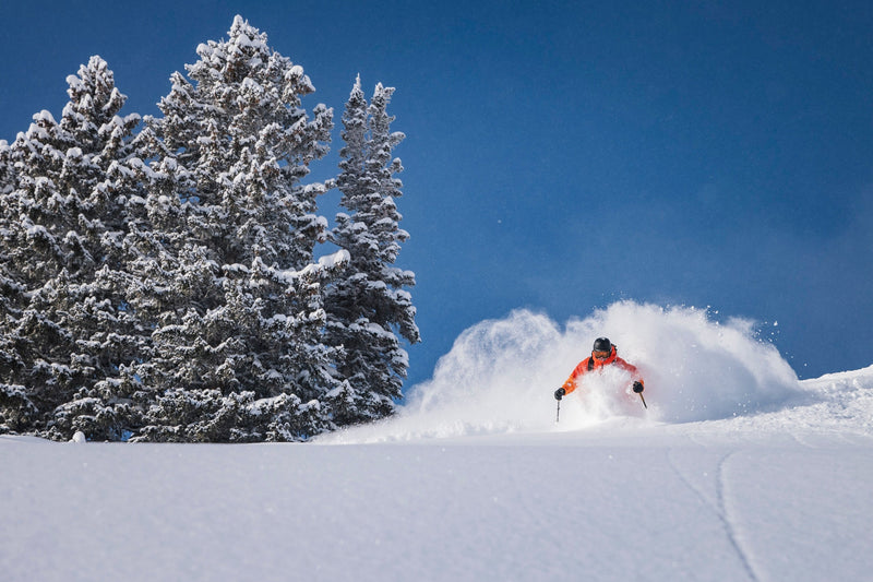 Alpine Bindings