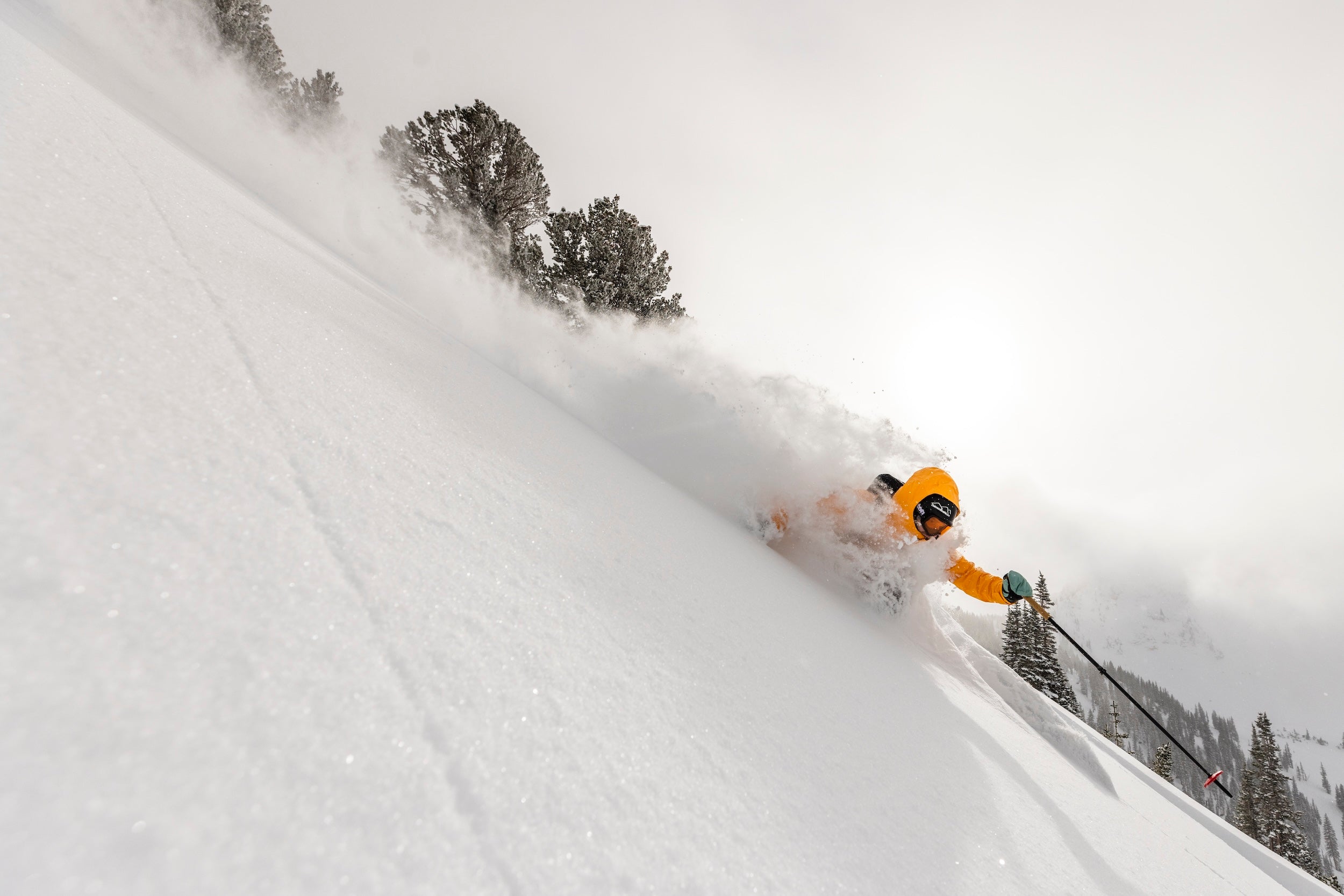 Lotus – DPS Skis