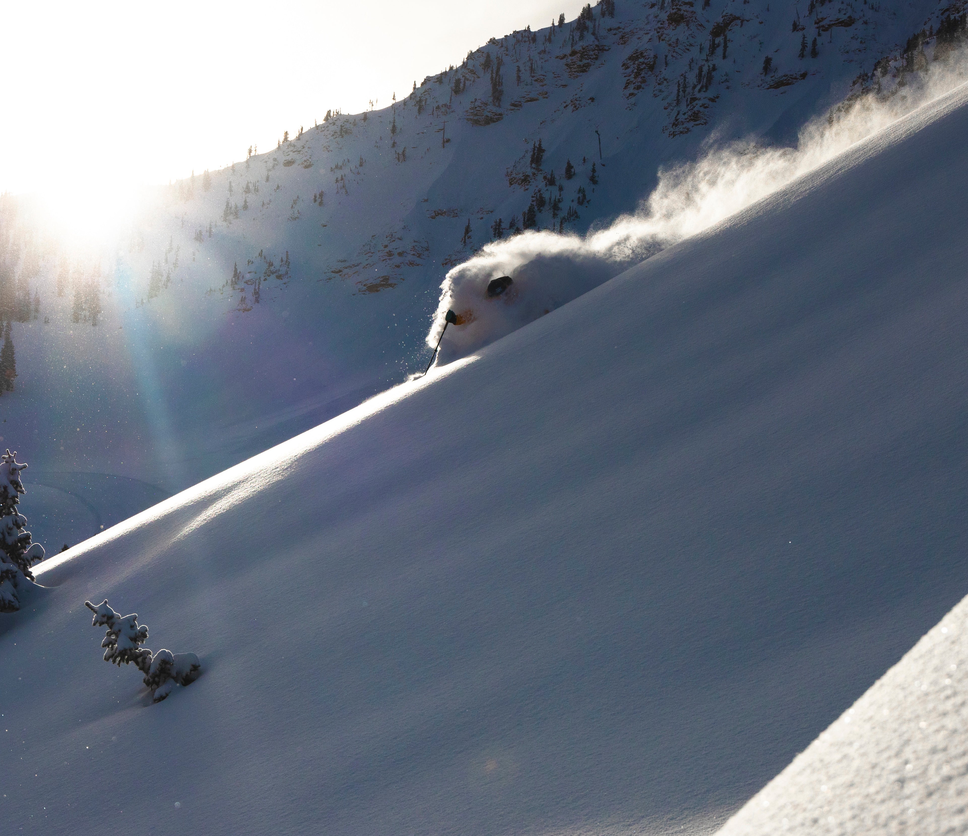 Lotus 124 – DPS Skis