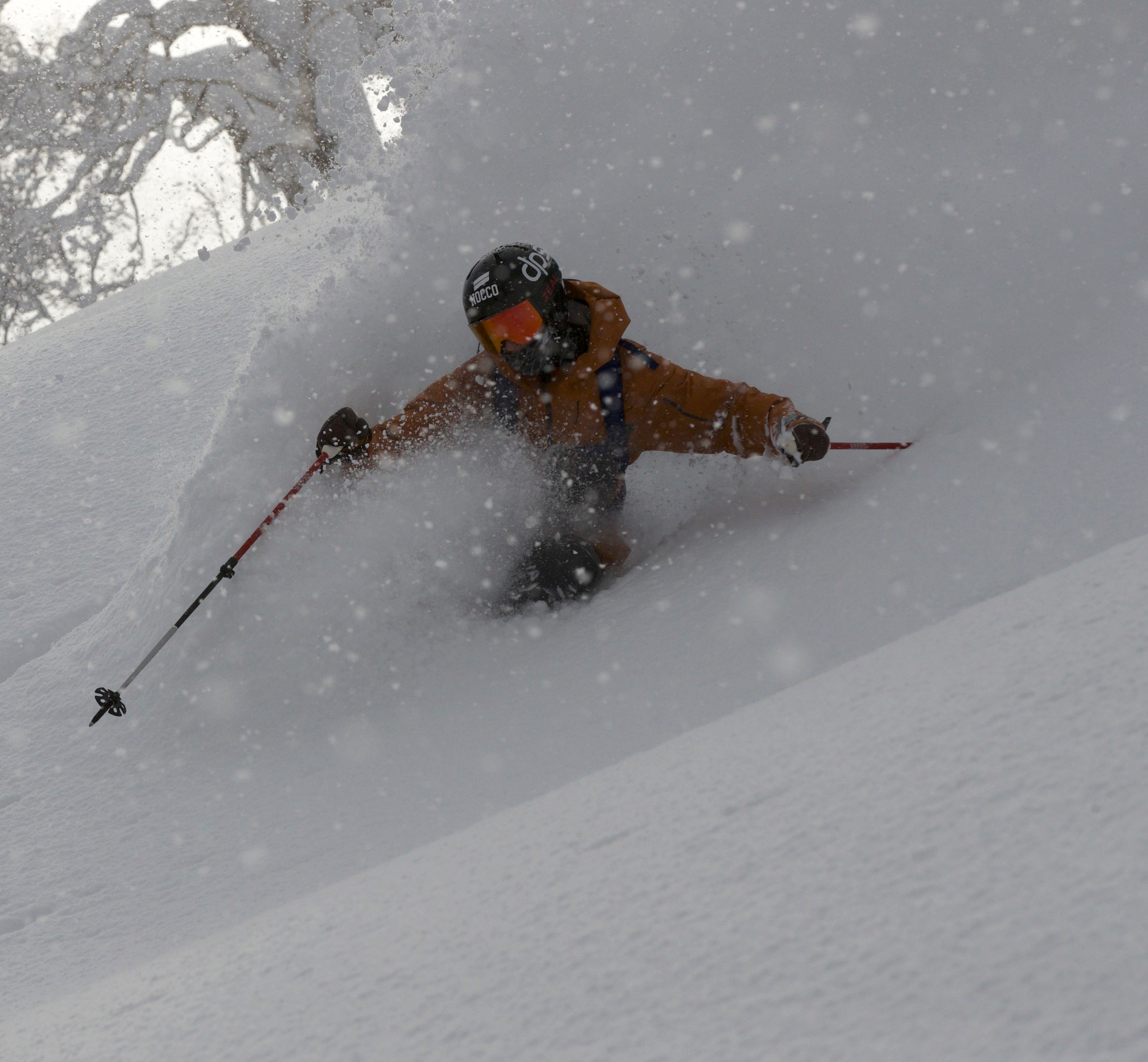 Lotus 138 | 20th Anniversary Edition – DPS Skis