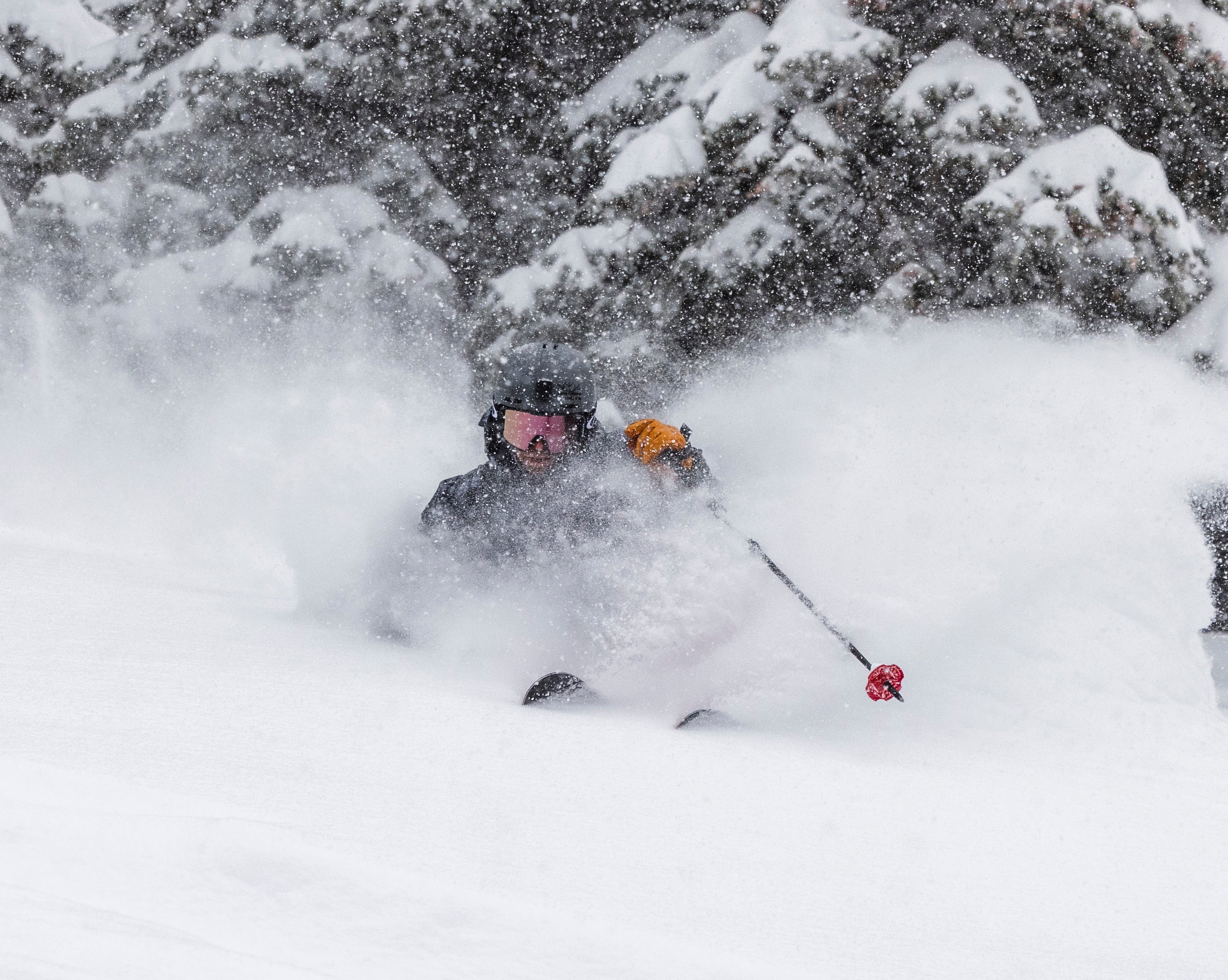 Wailer 107 – DPS Skis