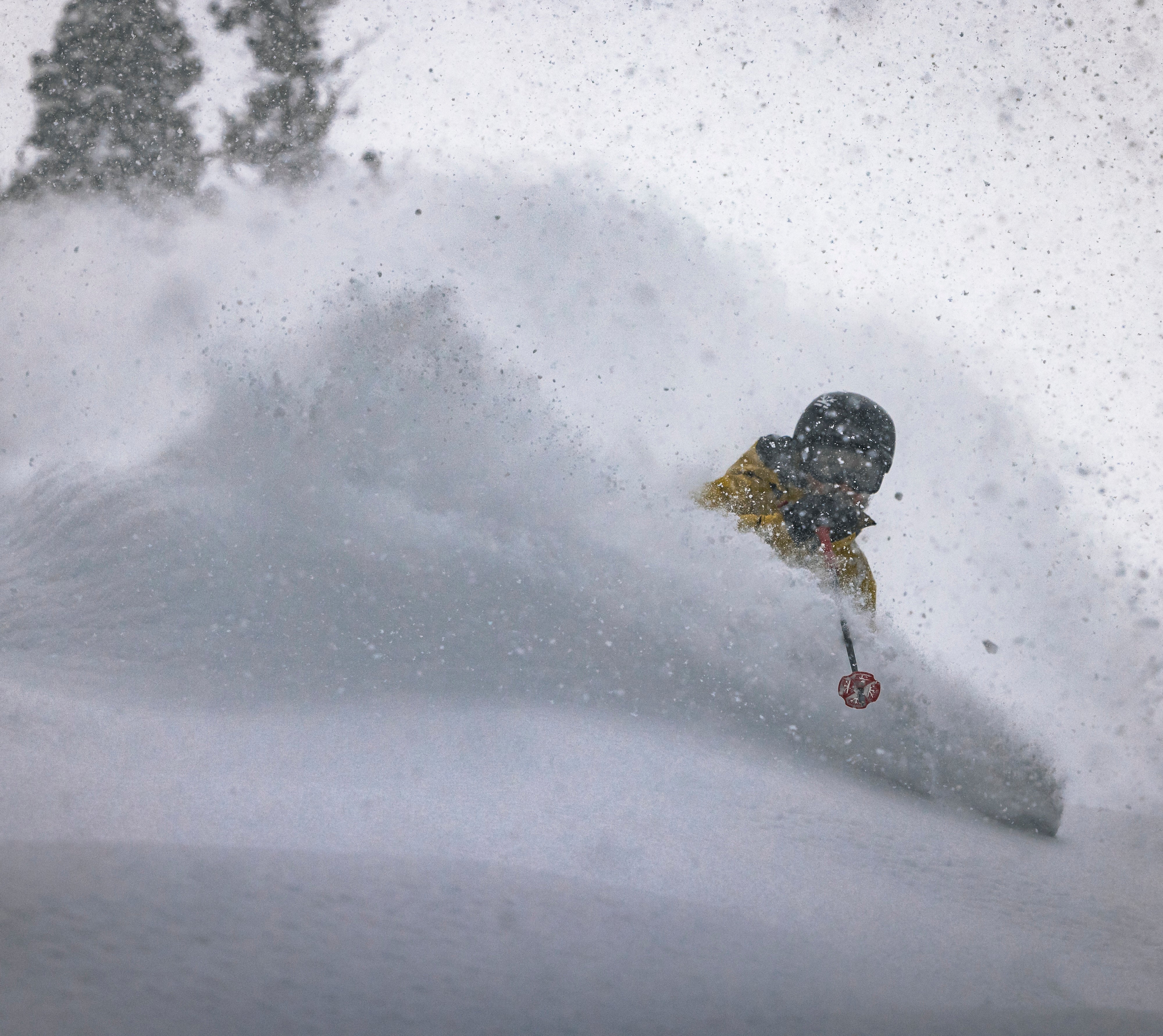 Powder – DPS Skis